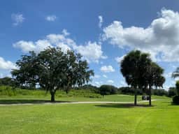 Beautiful 3/2.5 Sm Dog Friendly Golf Course Home w/BBQ , Golf Cart & WiFi!