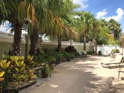 Walking Distance to Lake Sumter Landing! Beautiful Home with BBQ Grill