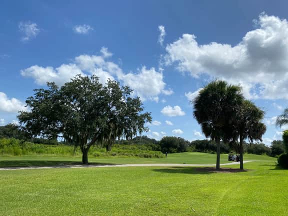 Beautiful 3/2.5 Sm Dog Friendly Golf Course Home w/BBQ , Golf Cart & WiFi!